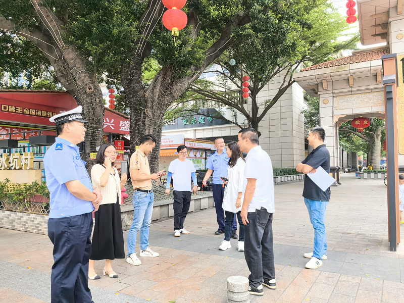 大龙街扎实推进人大代表建议办理