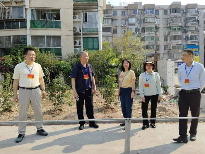 从“步步惊心”到“安心出行” 人大代表助力修路解民忧