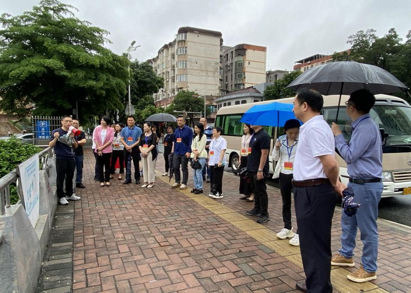 重民意强监督 促发展惠民生——人大市桥街道工委开展“有路无灯”专项整治视察