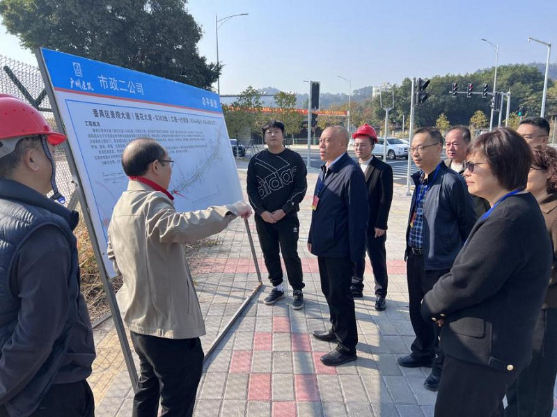 林仕国副主任率队视察景观大道（沙湾段）建设情况