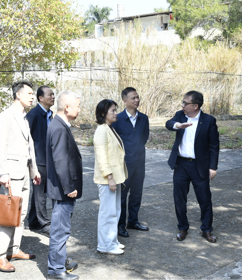 王向东副主任率队调研市广路290号项目投资情况