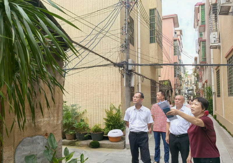 市、区人大联动调研农房建设管理和风貌管控提升工作情况